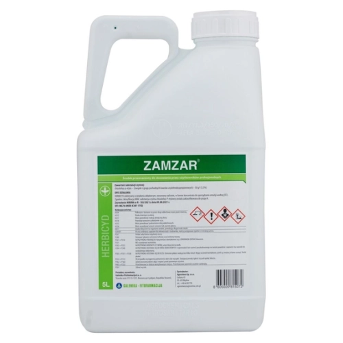 41327-zamzar-_1_-1.webp