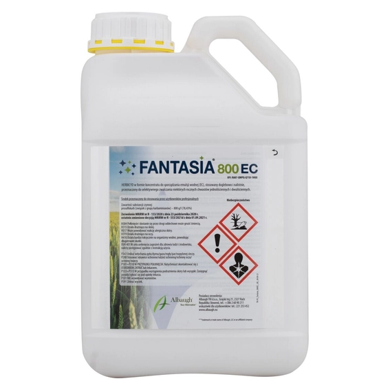 fantasia-5-l-1.webp