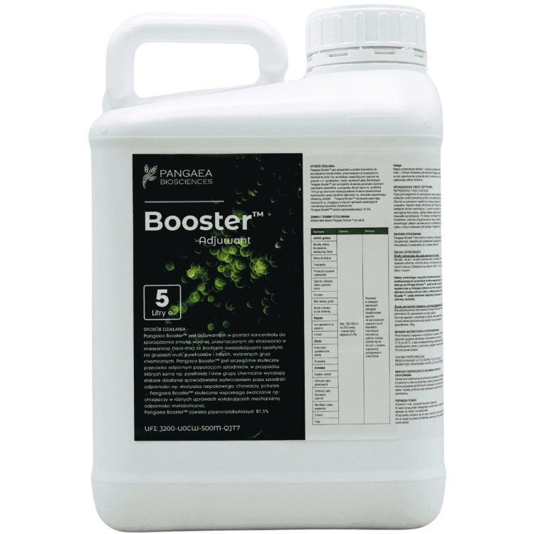 Pangaea_Booster_5_L.jpg.jpg