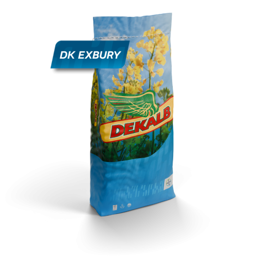 DK_ EXBURY_RAPESEED_DEKALB_PL_CAROUSEL_IMAGE_1.png