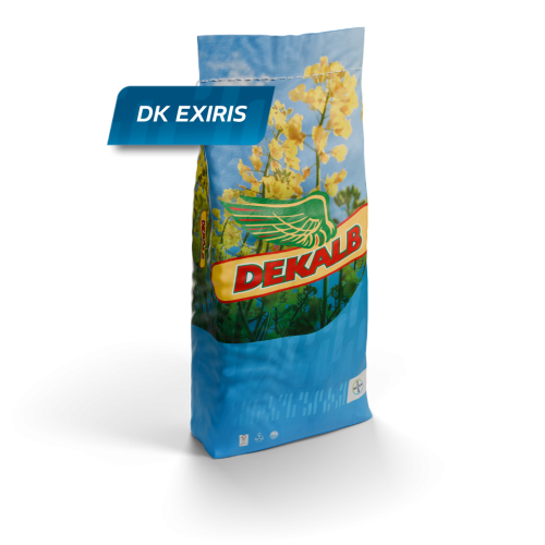DK_EXIRIS_RAPESEED_DEKALB_PL_CAROUSEL_IMAGE_1.png
