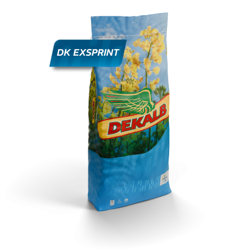 DK_EXSPRINT_RAPESEED_DEKALB_PL_CAROUSEL_IMAGE_1.png