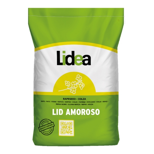 katalog2025-rzepak-jesien-2-amoroso-packshot-1.jpg