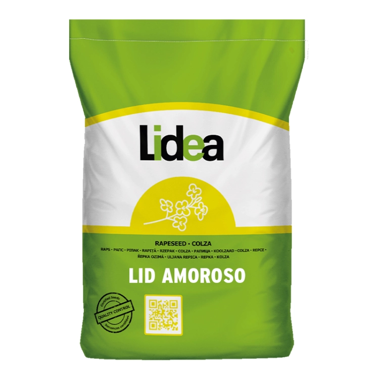 katalog2025-rzepak-jesien-2-amoroso-packshot-1.jpg
