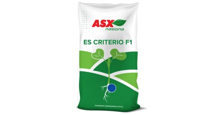 es_criterio_f1_worek.webp