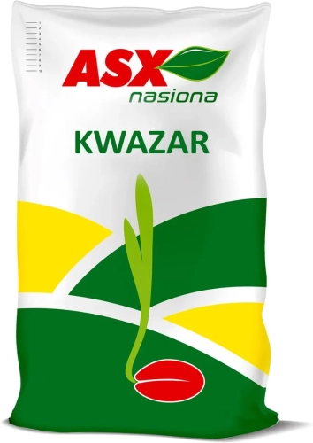i-nasiona-rzepaku-ozimego-kwazar-2mln-nasion-zaprawione-zaprawa-fungicydowa-i-insektycydowa.webp