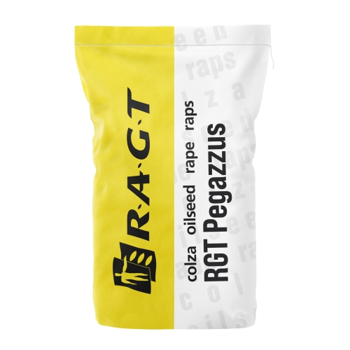 rgt-pegazzus-f1_EE51BD03-D316-EF11-9F89-6045BD8F8A3B (1).jpg
