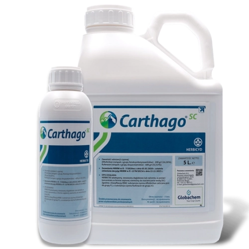 carthago_1_5l_1200x1200px.webp