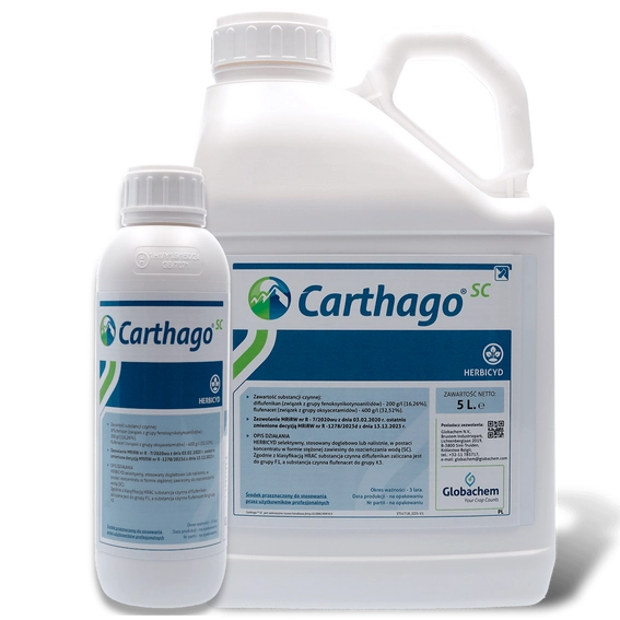carthago_1_5l_1200x1200px.webp